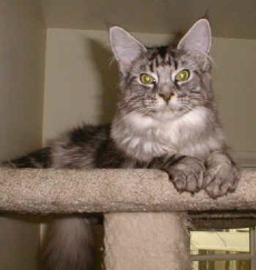 Jeri Rice, seven months old